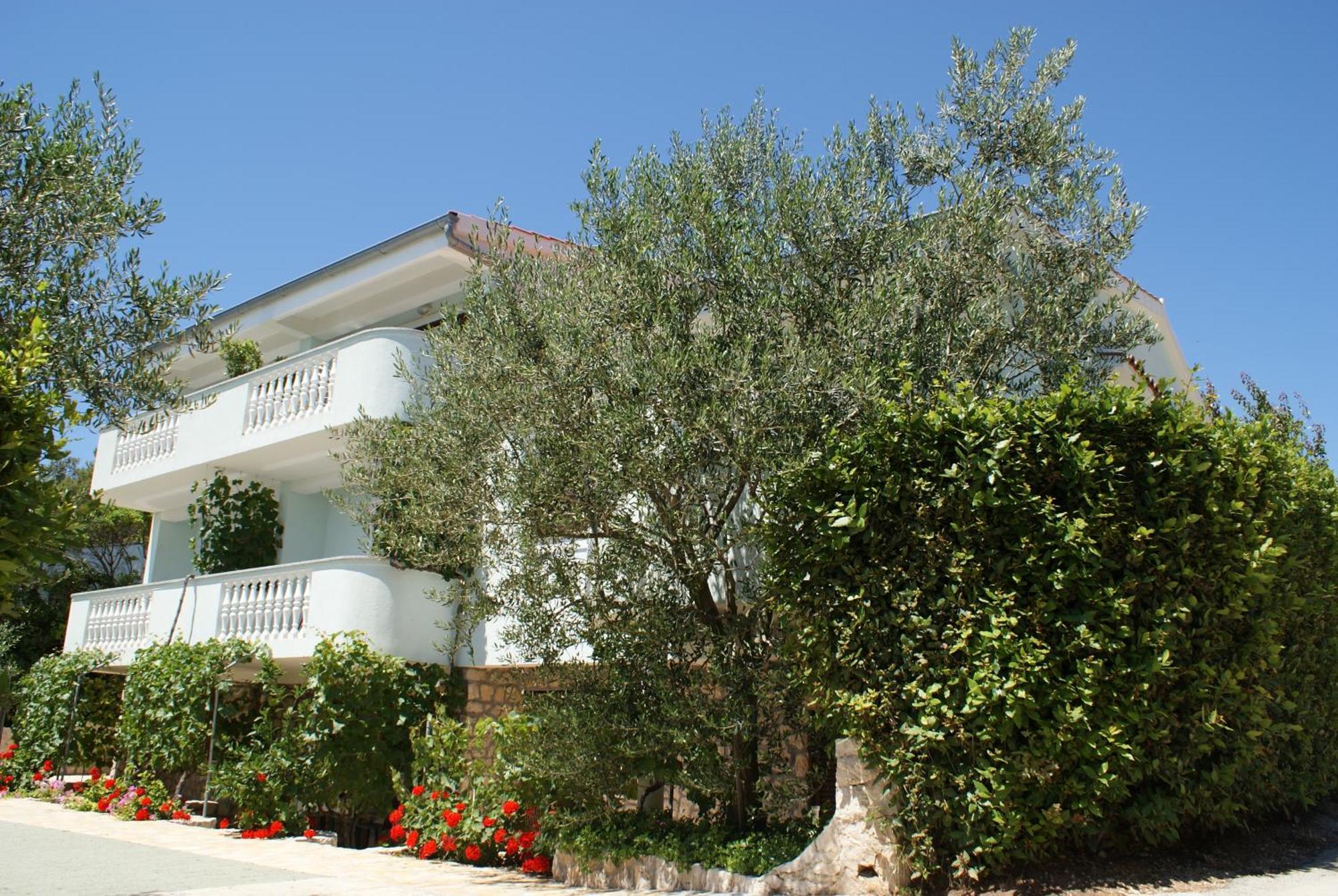 Apartments Jurjevic Petrcane Exterior photo